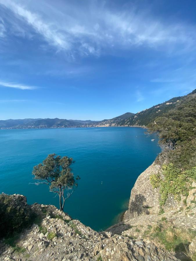 Alloggio Con Parcheggio E Vista - A Due Passi Dal Paradiso Apartman Camogli Kültér fotó